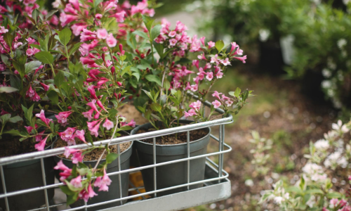 Vego Garden: Sturdy Modular Metal Raised Beds for Effortless Gardening