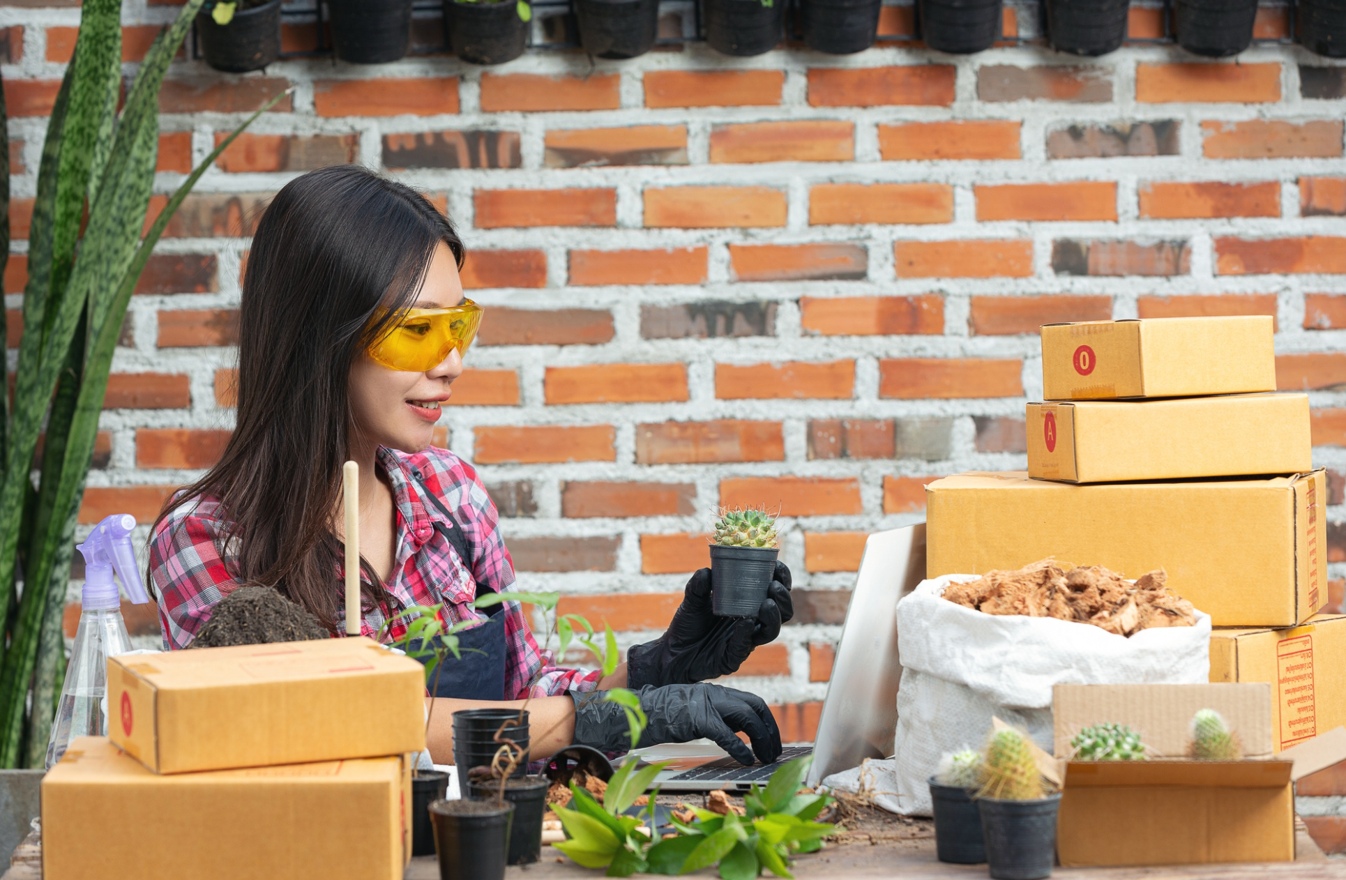 Shop Smart with Canvas Supply Co.: Best Deals & Quality Products