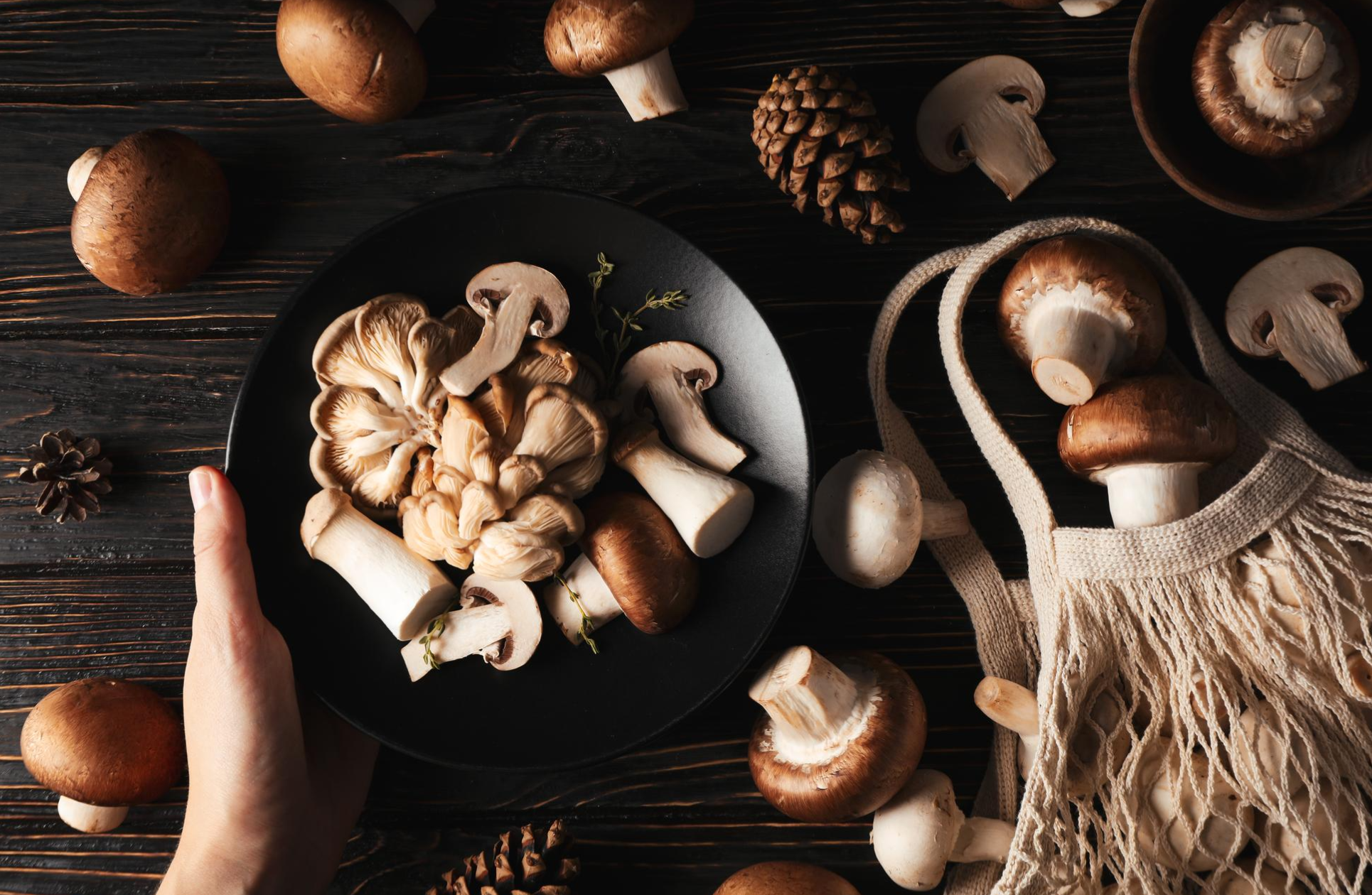 Troomy Mushroom Jellies for Focus, Calm & Wellness