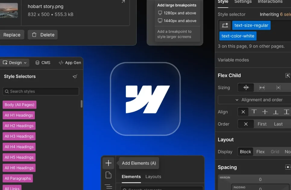 webflow for cms