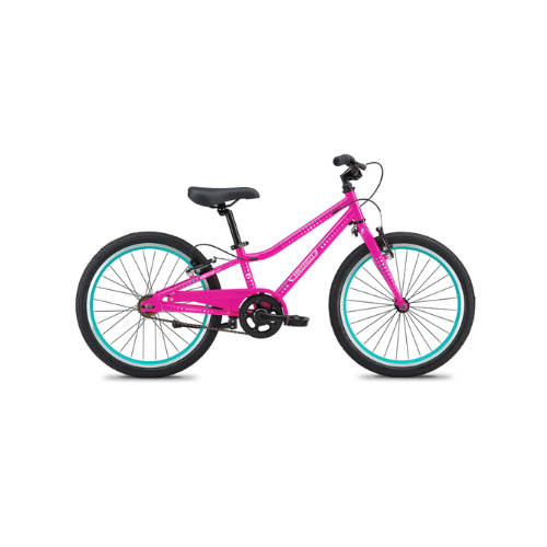 20‑inch Small Bike
